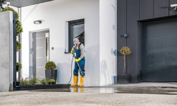 Best Boat and Dock Cleaning  in Meadow Les, AK