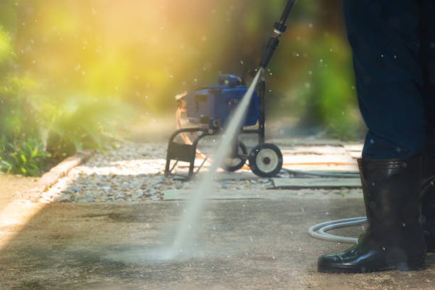 Best Rust Removal  in Meadow Les, AK